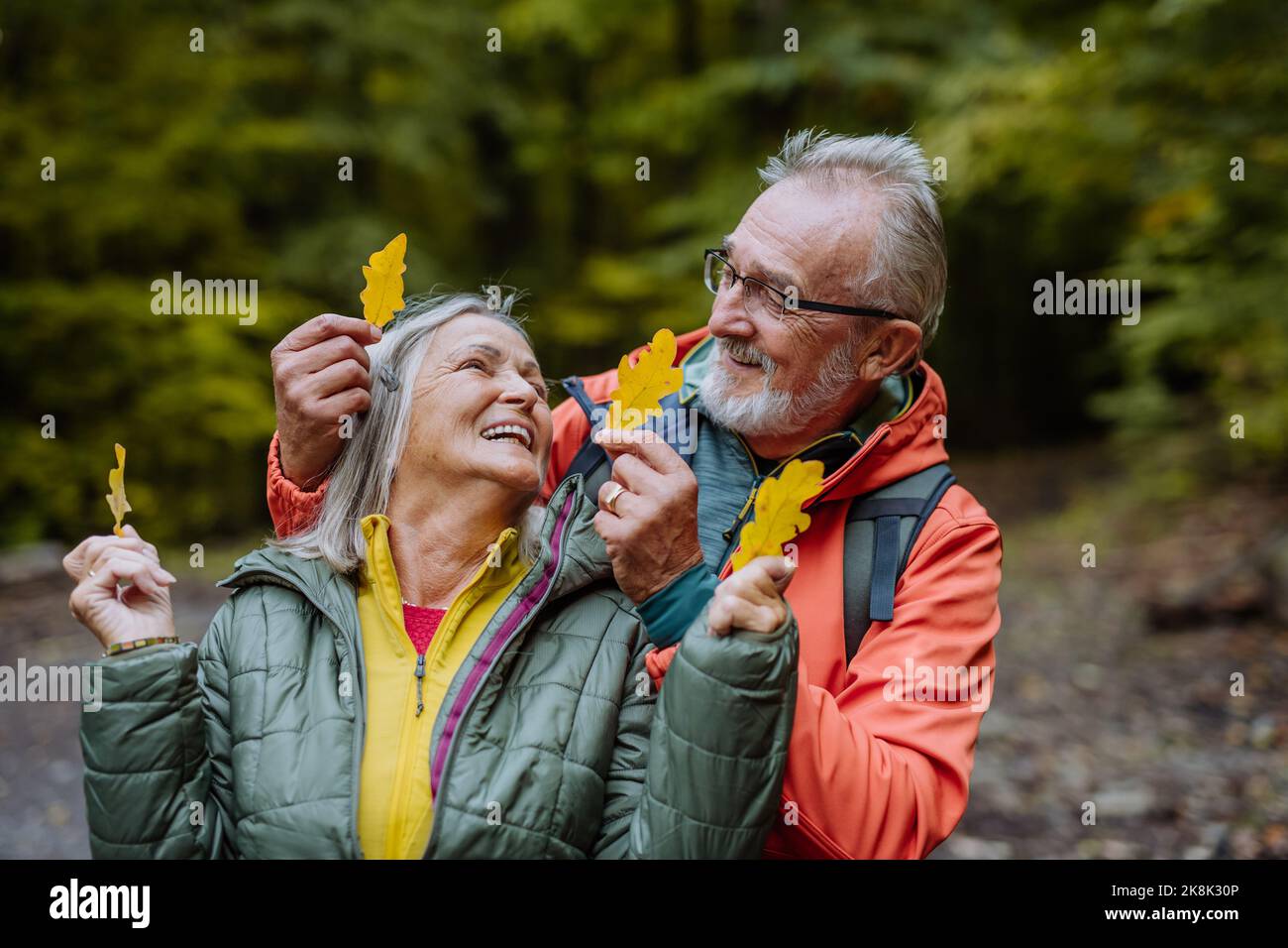 Porträt eines glücklichen älteren Paares mit Herbstblättern im Wald. Stockfoto