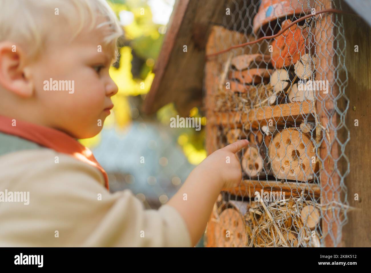 Kleiner Junge, der das Insektenhotel anschaut. Konzept der häuslichen Bildung, Ökologie im Garten und nachhaltiger Lebensstil. Stockfoto