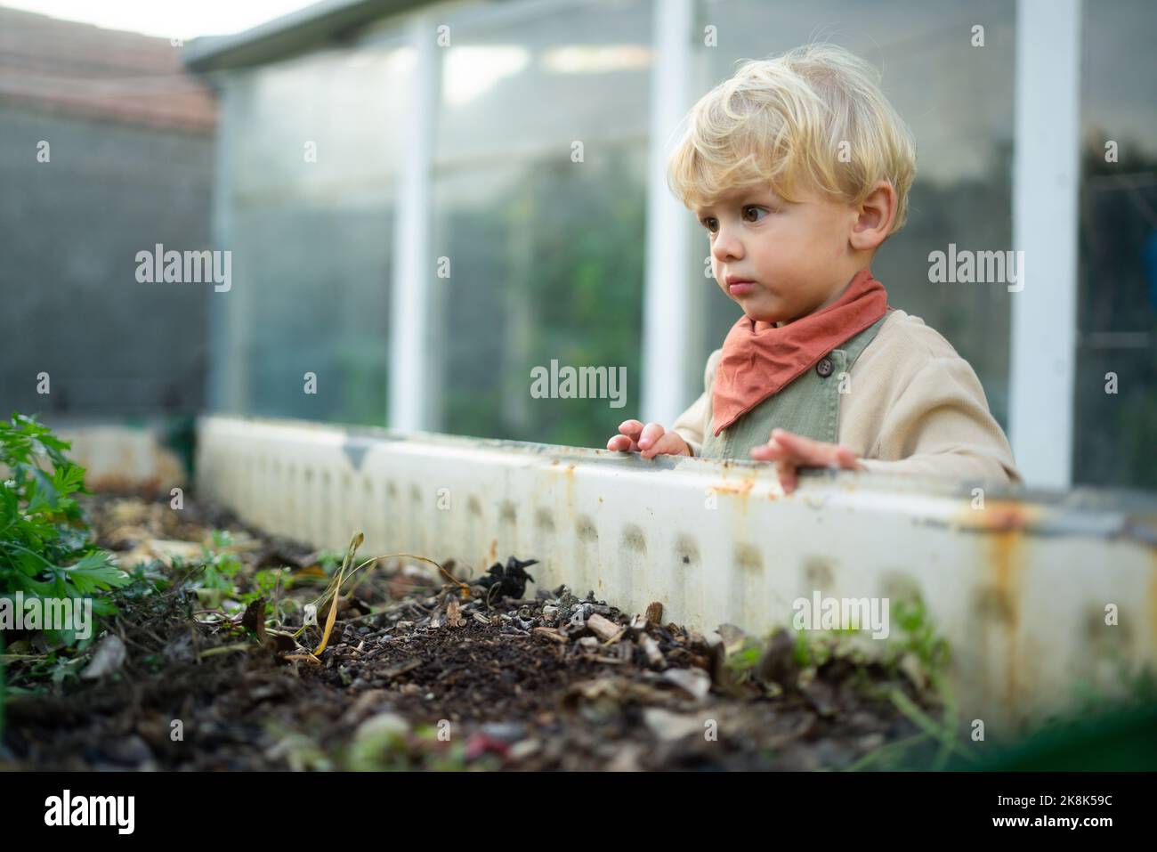 Kleiner Junge, der neben Kompost im Freien in ihrem Garten steht. Stockfoto