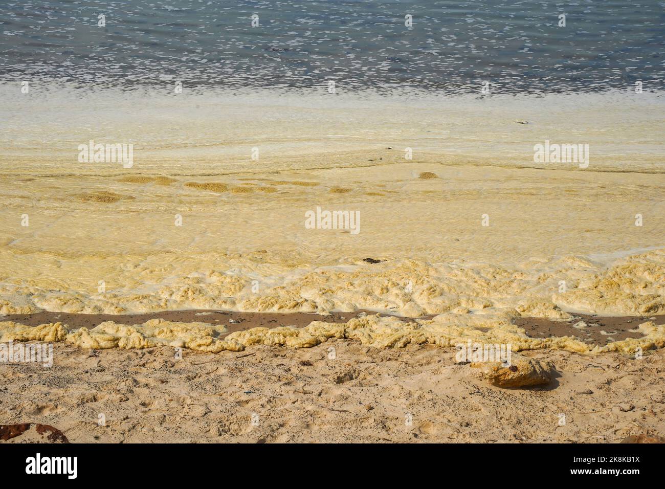 Meeresschaum, der durch Ölverschmutzung am Strand von Tarifa, Andalusien, Spanien, an den Strand gespült oder an den Strand geblasen wird. Stockfoto