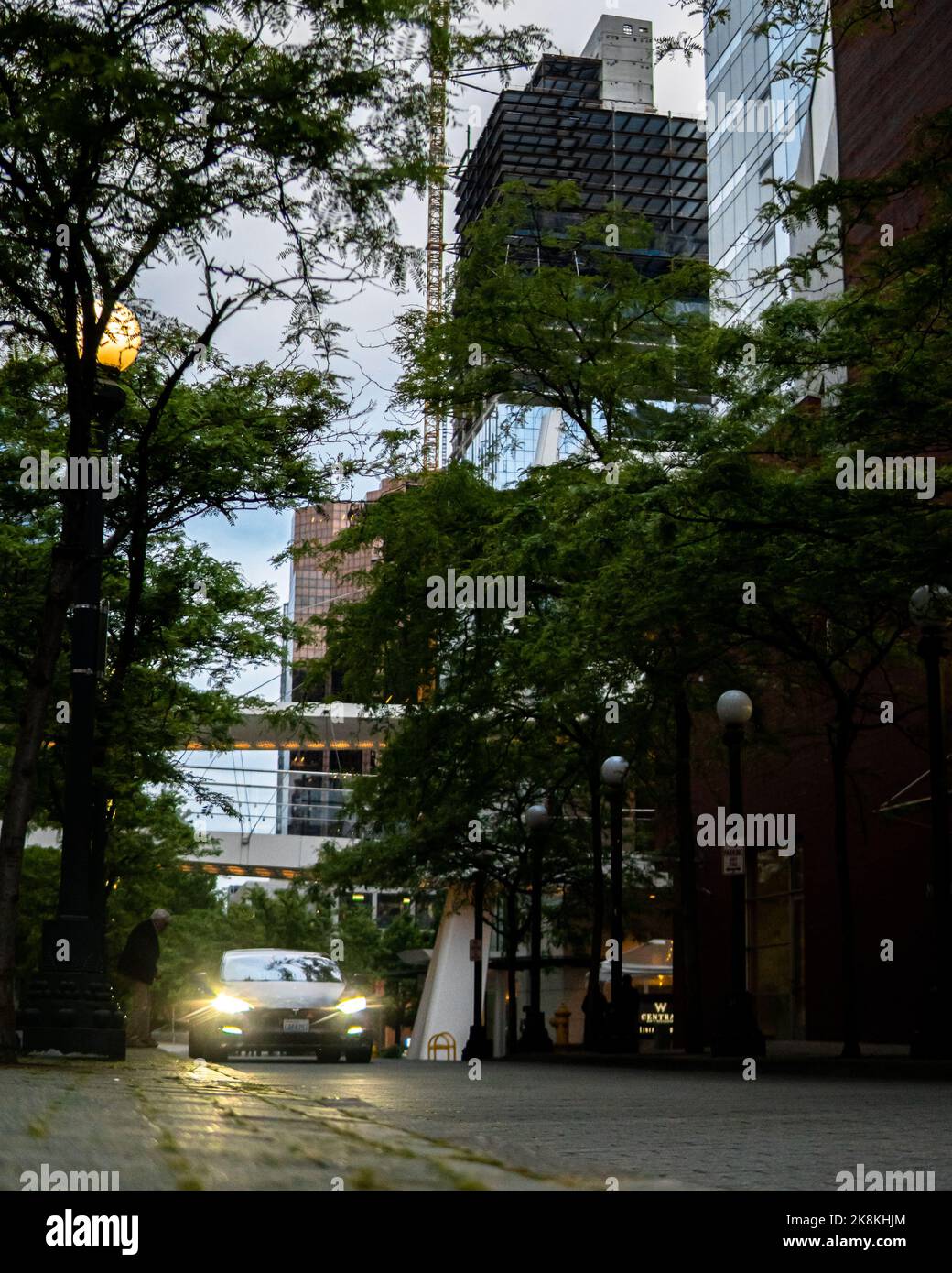 Die Autos in der Mitte der Straße, die die Straße in Bellevue überquert Stockfoto