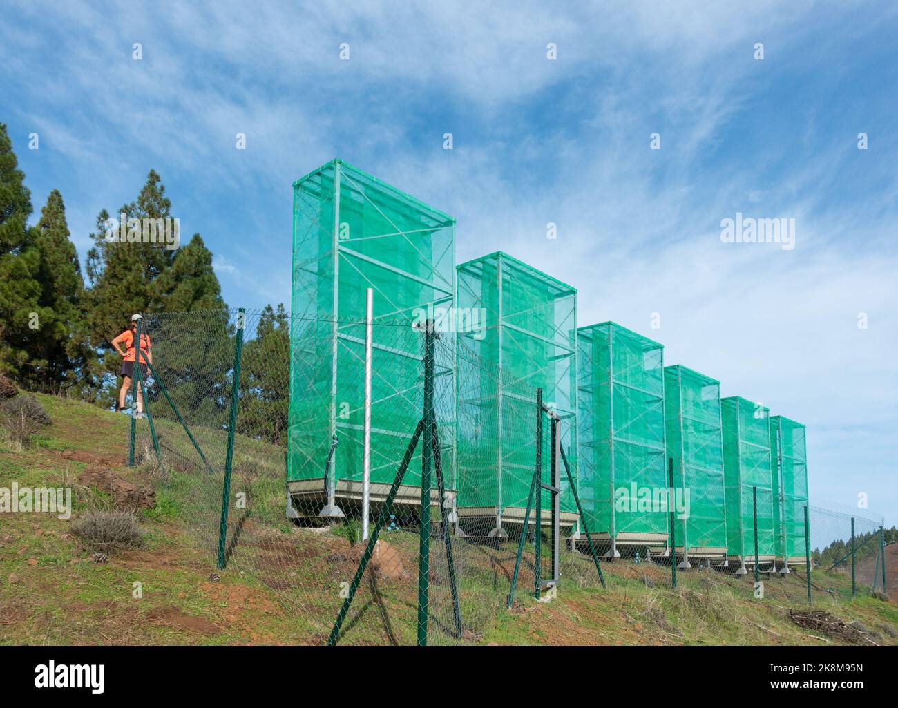 Wolkenernte, Nebelfänger, Netze, Netze, die zur Wassergewinnung aus niedrigen Wolken/Nebel/Nebel in den Bergen auf Gran Canaria, Kanarische Inseln, Spanien verwendet wurden Stockfoto