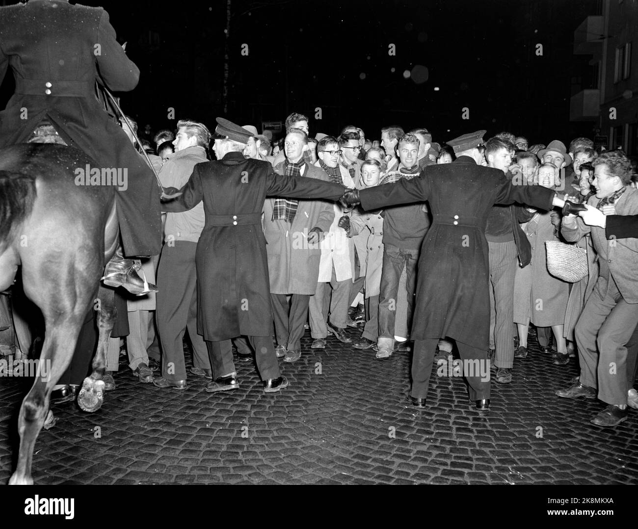 Oslo 19561106 im November zogen sowjetische Truppen nach Ungarn und schnitten die öffentliche Rebellion gegen die sowjetische Herrschaft ab. Massentreffen und Demonstrationen im Universum der sowjetischen Invasion. Polizeibeamte bilden die Kette gegen die Demonstranten. Polizeipferde in Aktion. Foto: NTB / NTB Stockfoto