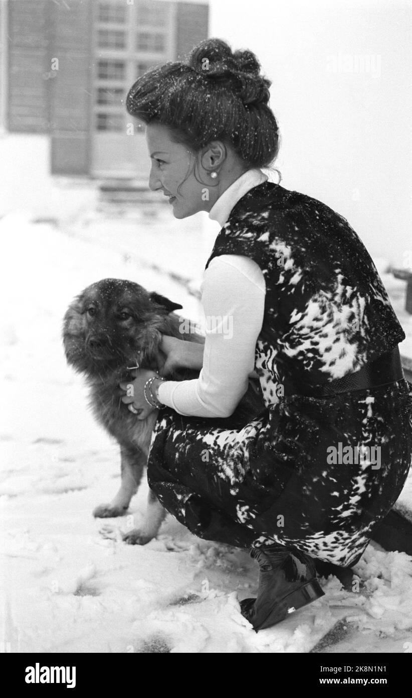 Skaugum 19701219. Kronprinzessin Sonja öffnet die Türen von Skaugum für die Presse. Current hatte ein informelles Gespräch mit ihr in der Bibliothek. Ein Interview oder ein Gespräch mit einem Vertreter der königlichen Familie ist in diesem Land eigentlich ein kleines Ereignis. Hier wird die Kronprinzessin mit dem Hund Cherie fotografiert, wie sie nach der Hochzeit erworben hat. Foto: Aage Storløkken Current / NTB Stockfoto