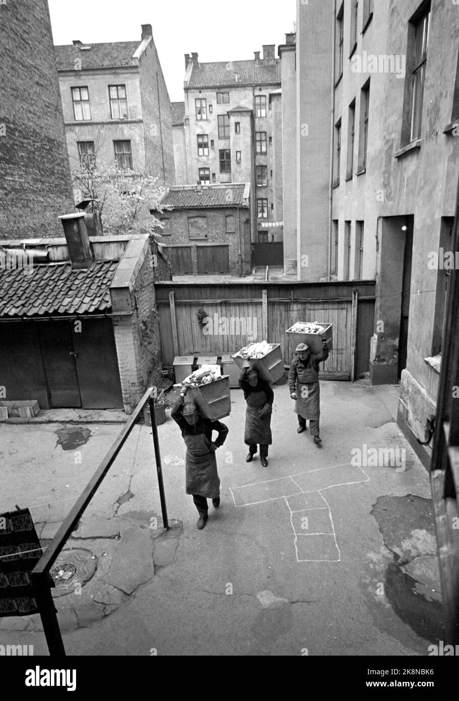 Oslo im Herbst 1965. Oslo Cleaning Work hat 104 Müllwagen, und Reinigungskräfte leeren zwei- bis dreimal pro Woche 70.000 Mülltonnen, das sind fast 90.000 Tonnen Haushaltsmüll pro Jahr. Davon sind 10-12 Tonnen Lebensmittelrückstände, und ein nicht unbedeutender Teil sind gefährliche Abfälle. Hier sind drei der Müllmänner, die sie gerne genannt werden, auf dem Weg zum Auto mit jeder der alten Kisten. Sie müssen bis zum Auto getragen und der Abfall mit der Hand geleert werden. Foto: Sverre A Børretzen / Aktuell / NTB. Physical Lok: Aktuelle Nr. 47 1965: 'Im ewigen Kampf gegen Müll'. Stockfoto