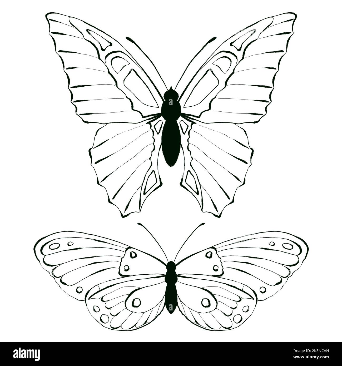 Set aus Schmetterling, schwarz-weiß Illustration, isoliert. Stockfoto