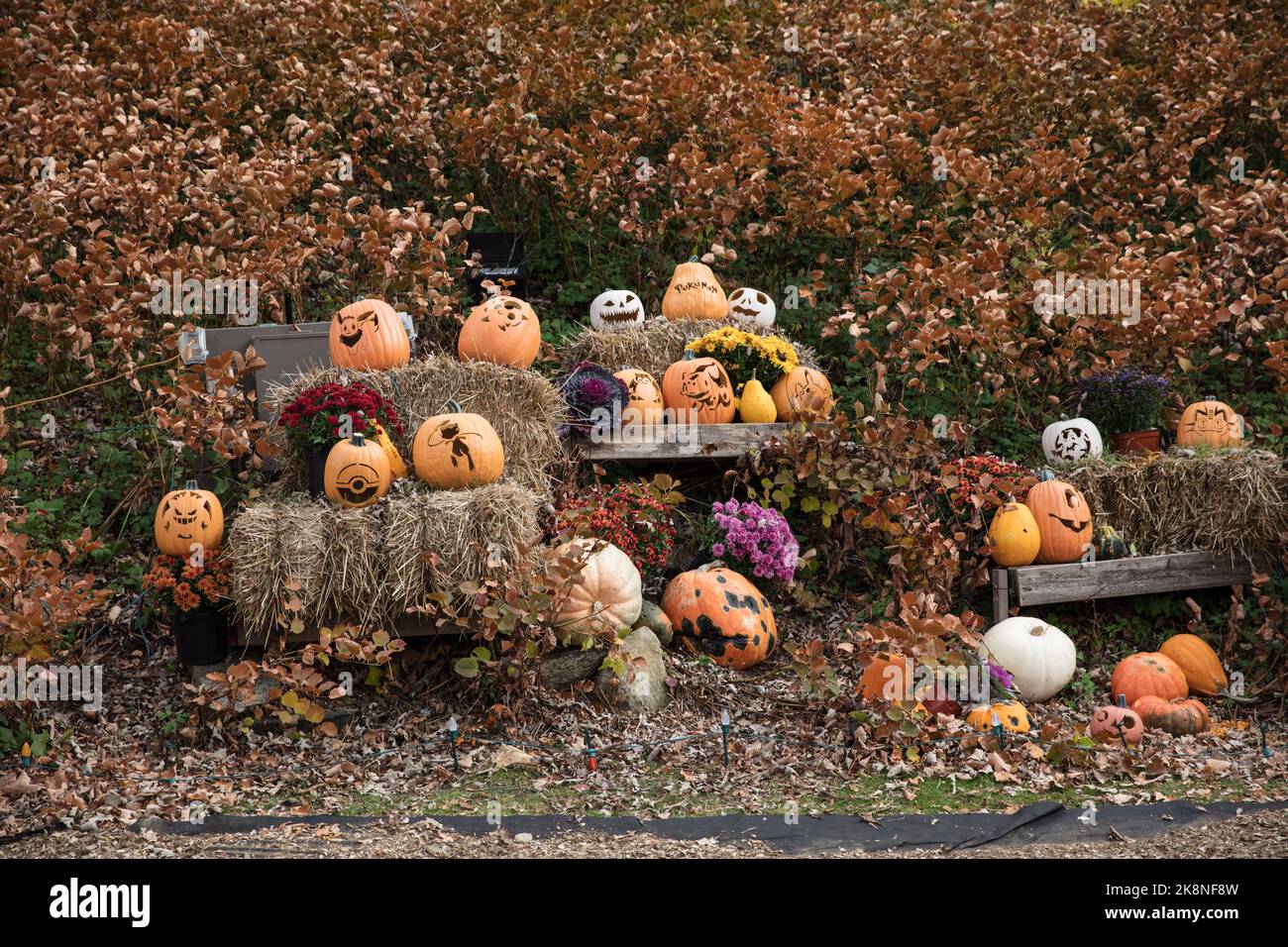 Kürbisse und Halloween Dekorationen bei Naumkeag in Stockbridge Massachusetts Stockfoto