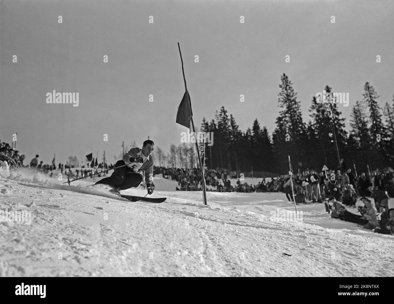 Olympische Spiele 19520219 In Oslo. Stig Sollander, Schweden im Slalom in Rødkleiva. Er wurde Nr. 5. Foto: NTB / NTB Stockfoto