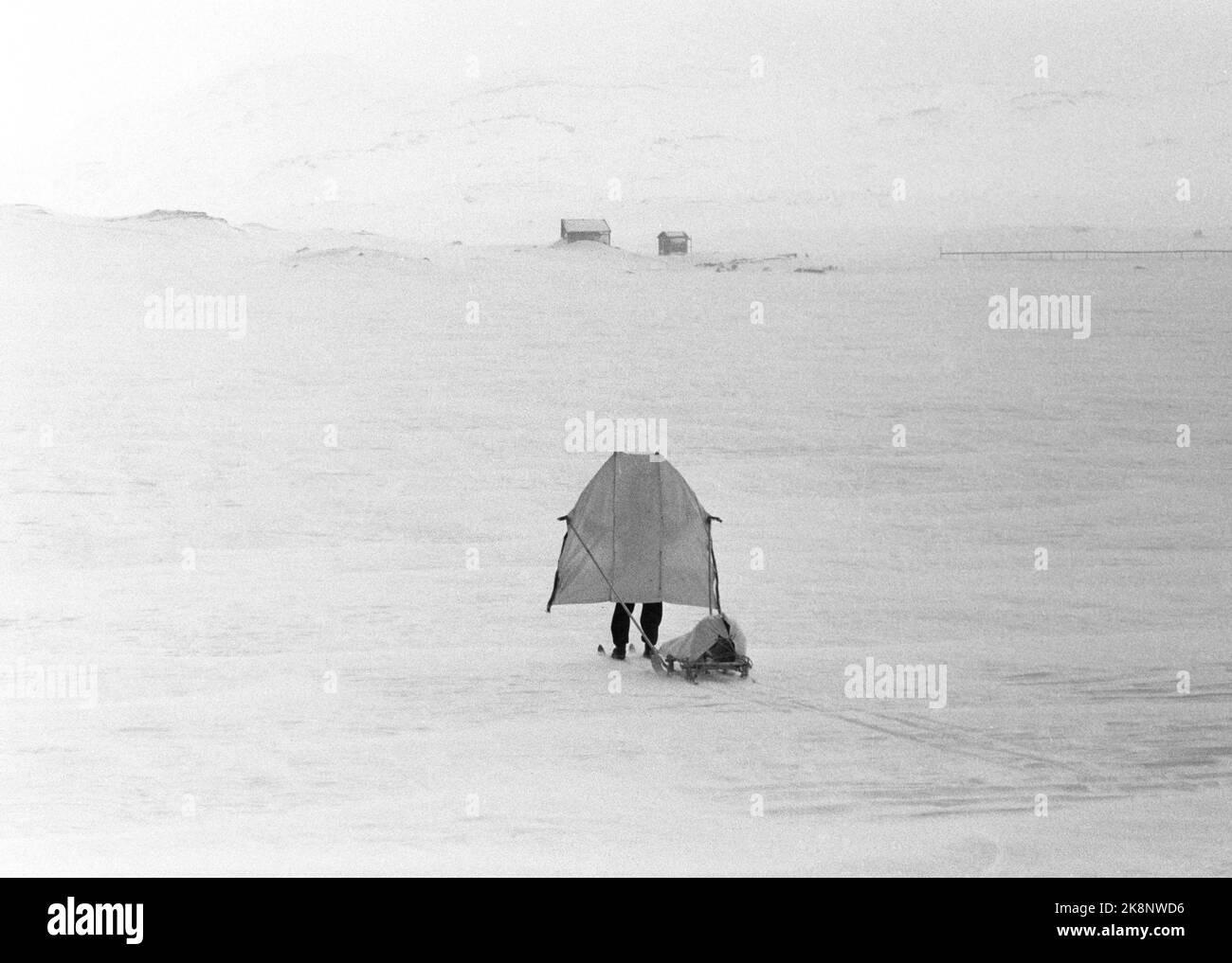 Finse 15. April 1961. Die dänische Prinzessin Margrethe ist mit dem Roten Kreuz-Hilfskorps im Winter in Norwegen unterwegs. Hier sehen sie einen Typen mit Pulk und Windschutzscheibe. Parasailing, Foto: Ivar Azerud / Strömung / NTB Stockfoto