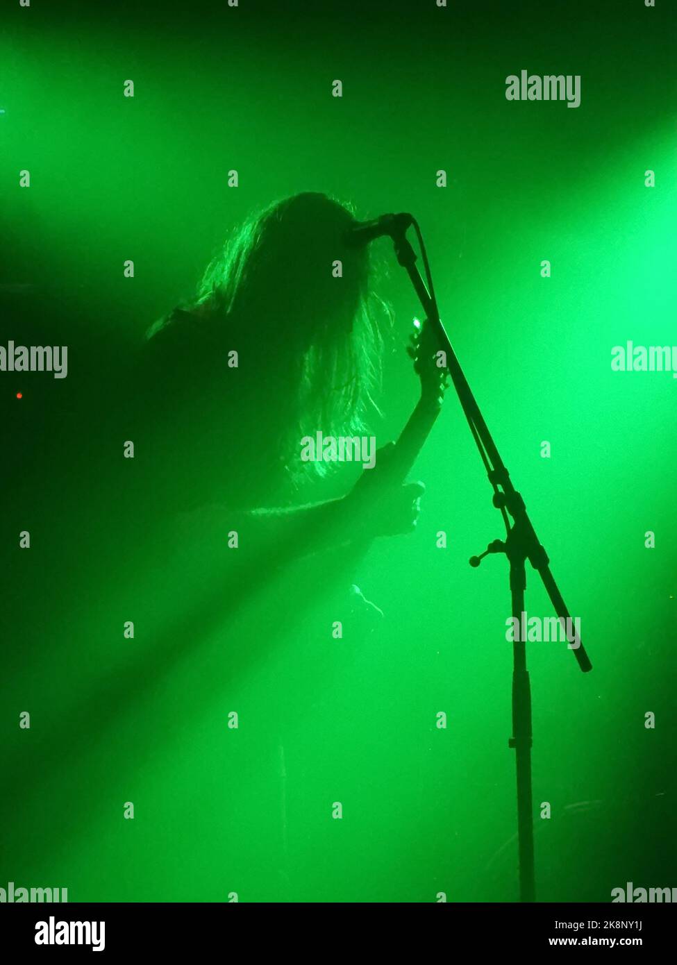 Eine Silhouette eines Gitarristen im grünen Nebel während des Konzerts Stockfoto
