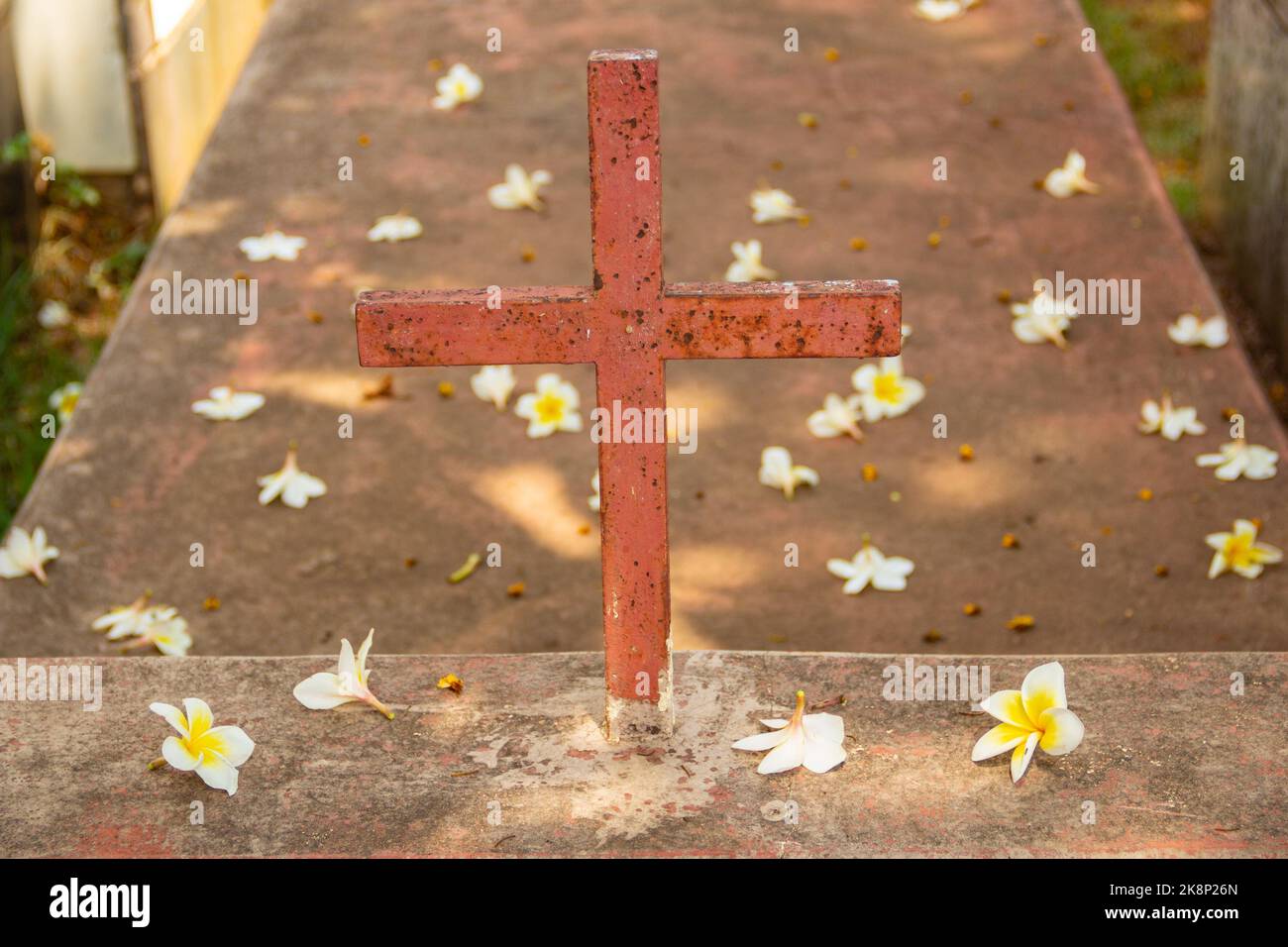 Aparecida de Goiânia, Goias, Brasilien – 23. Oktober 2022: Ein Kreuz über einem Grab voller Blumen, das vom Baum auf dem Friedhof fiel. Stockfoto