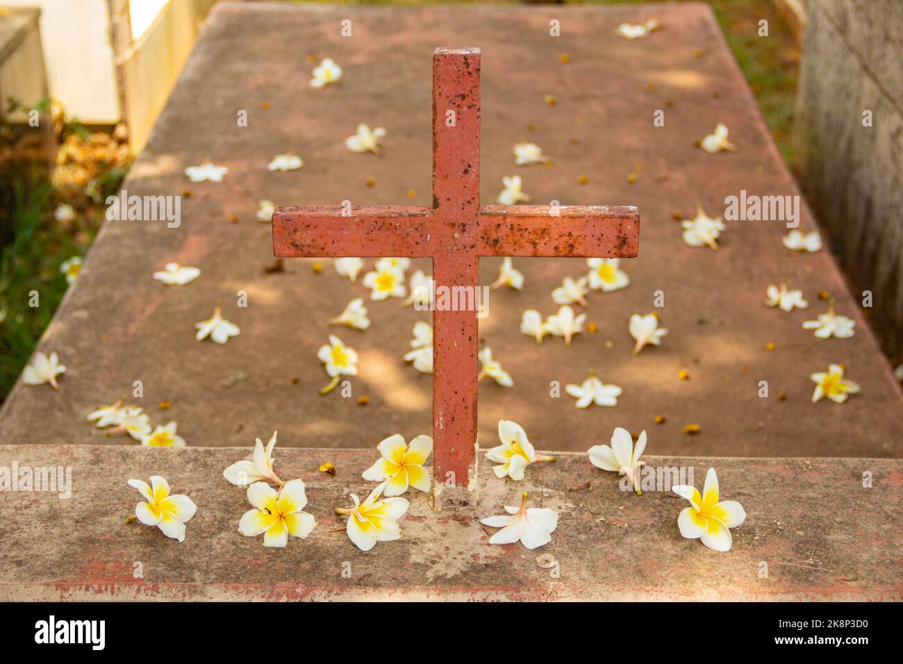 Aparecida de Goiânia, Goias, Brasilien – 23. Oktober 2022: Ein Kreuz über einem Grab voller Blumen, das vom Baum auf dem Friedhof fiel. Stockfoto