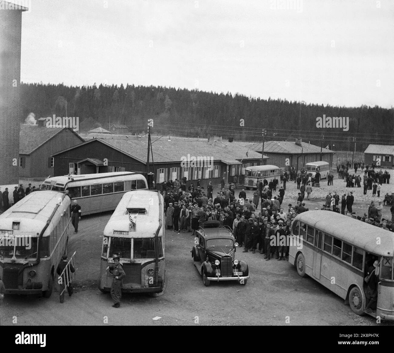 Grini 19450514 Friedenstage Mai-45. Aus dem Konzentrationslager Grini / Gefangenenlager. Übersichtsbild mit den Bussen, um die Gefangenen aus dem Lager zu transportieren Foto: NTB Archiv / NTB Stockfoto