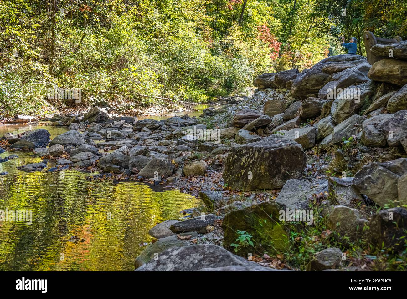 Eine ältere Frau fotografiert das farbenfrohe Herbstlaub entlang des Toccoa Creek bei den Toccoa Falls im Nordosten Georgiens auf ihrem iPhone. (USA) Stockfoto