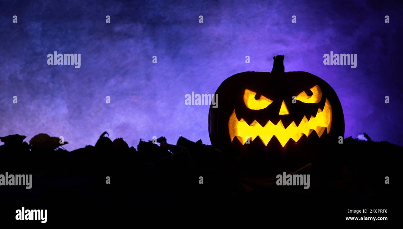 halloween Kürbis Laterne im Schatten mit violettem Hintergrund Stockfoto