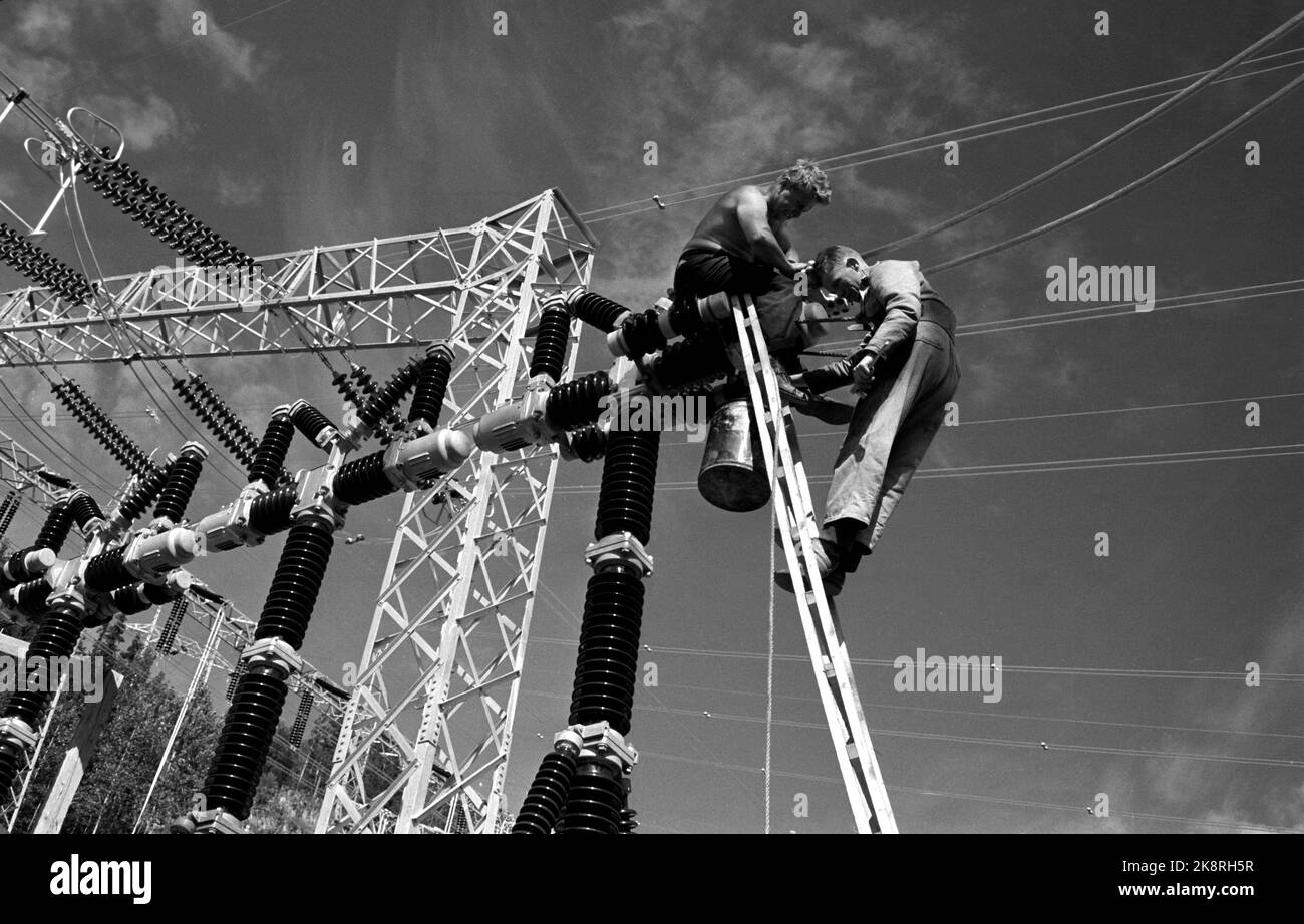 Dalen in Telemark August 1961 Tokke-Kraftwerke werden bald in Betrieb sein und Strom für 80.000 Menschen produzieren. Hier arbeiten Arbeiter im Prozess der Montage von Kabeln auf Masten. Luftiger Arbeitsplatz, gefährliche Arbeit. Foto: Børretzen / Aktuell / NTB Stockfoto