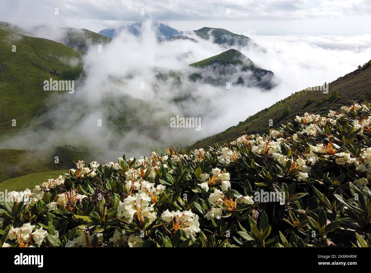 Gevul Hochebene und Tal im Westen und hoch des Hatila Valley National