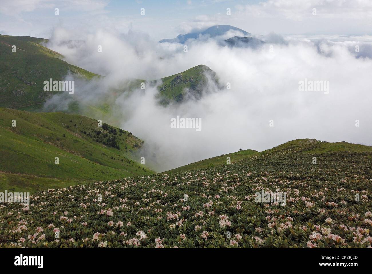 Gevul Hochebene und Tal im Westen und hoch des Hatila Valley National
