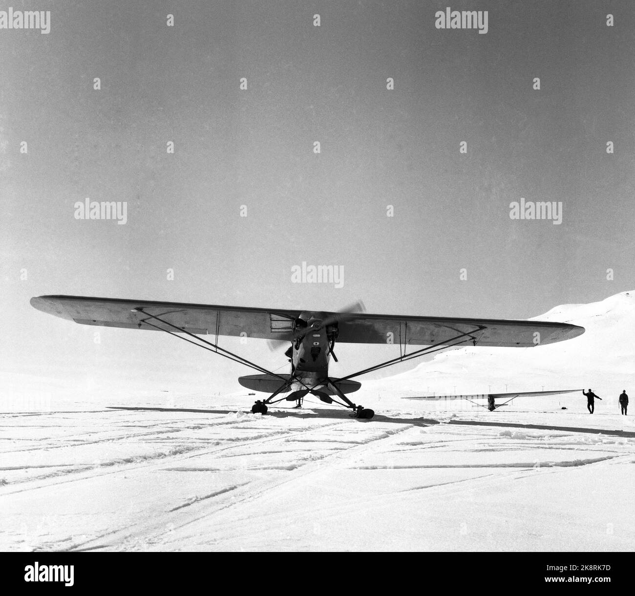 Eidsbugarden, Jotunheimen, 6. Mai 1961. Fünf Segelflugzeuge genießen sich in der Bergwelt. Zwei von ihnen landen auf dem Uranos-Gletscher, als die ersten Segelflugzeuge jemals auf einem Gletscher landeten. Als erster landet der dänische Möbelpolsterer Robert Nielsen aus Silkeborg. Der Norweger Bakkasserer, Bjarne Bergsund landet auf Platz 2. Hier die motorisierten kleinen Flugzeuge verwendet, um die Segelflugzeuge hochzuziehen, ein Piep Cub. Foto; Ivar Aaserud / NTB Stockfoto