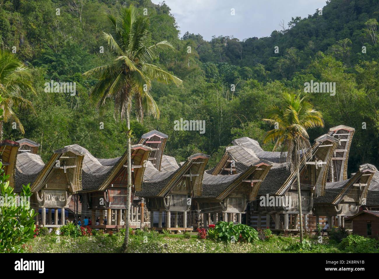 Landschaftlich reizvolle Aussicht auf das Dorf Kete Kesu mit einer Gruppe von Tongkonan- oder traditionellen Häusern, in der Nähe von Rantepao, Tana Toraja, Sulawesi, Indonesien Stockfoto
