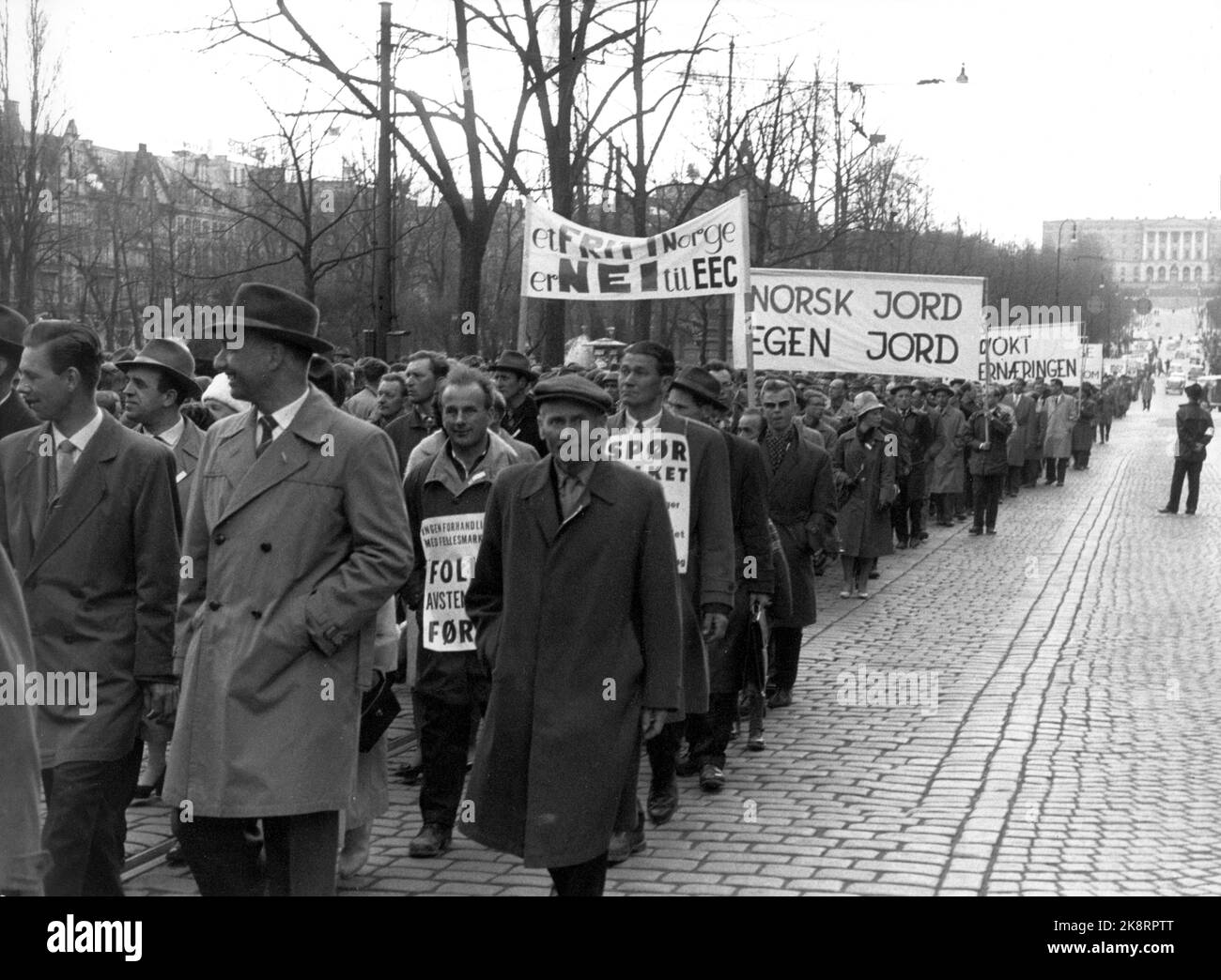 Die Oslo 19620420-Demonstration gegen den Gemeinsamen Markt während der parlamentarischen Debatte über Norwegen soll die Mitgliedschaft in der Europäischen Wirtschaftsgemeinschaft EWG beantragen. Der Demonstrationszug befindet sich auf dem Weg um das Storting am Karl Johans Tor. NTB Stock Photo per-Arne Knoblauch / NTB Stockfoto