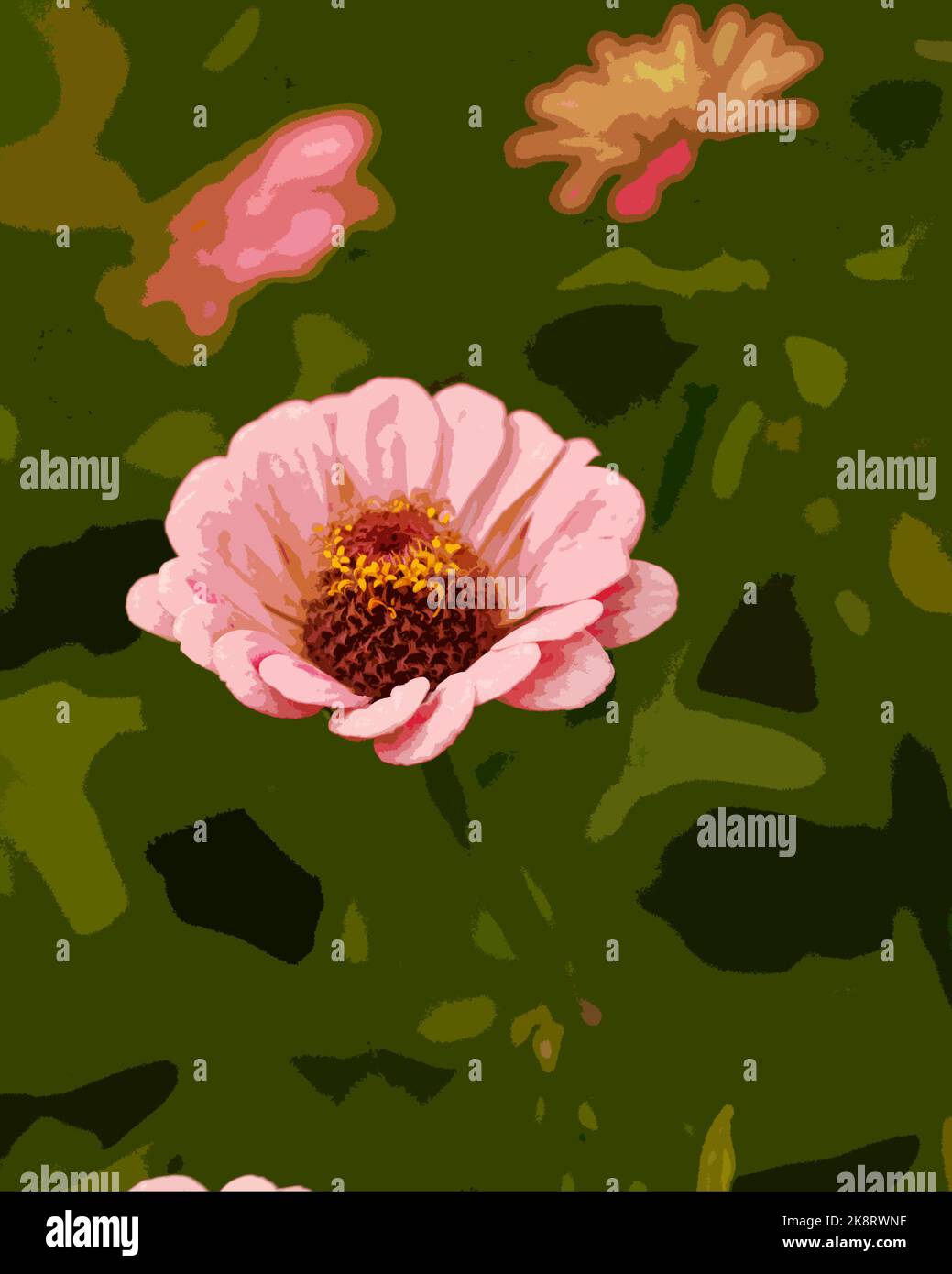 Illustration einer Nahaufnahme der jährlichen oder zweijährigen Sommer- und Herbstblüte der Zinnia elegans Super Yoga Rose. Stockfoto