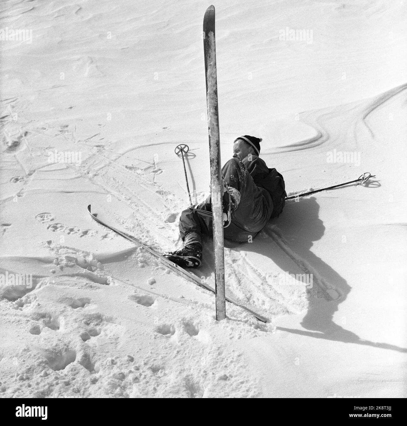 Finse Area 1956 'Tough Brits in the Mountains' 12 Briten, davon 3 Frauen, haben Mitte März gemeinsam mit norwegischen Skifahrern eine zehntägige Wanderung in den Gebieten um Finse durchgeführt. Die Tour wurde vom Tourismusverband organisiert, und zwei Hundeteams vom Hundeclub Draw waren auf der Reise. Hier: Die meisten der britischen Teilnehmer waren brauchbare Skifahrer, hatten aber Schwierigkeiten in den Ausfahrten. Foto; Aage Storløkken / Aktuell / NTB Stockfoto