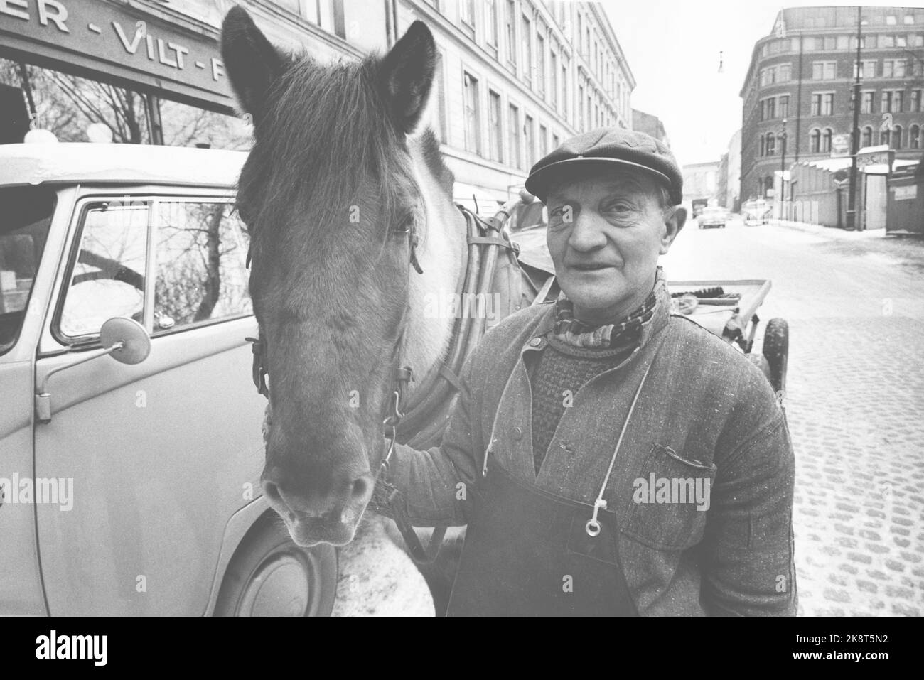 Oslo 19640314. Das Pferd Petter ist das einzige Arbeitslicht im Zentrum der Hauptstadt. Es migriert täglich zu Kunden im Zentrum von Oslo. Er macht eine Pause im Hinterhof, den Ivar Aasen zu seiner Zeit gelebt hat. Petters Fahrer heißt Simen Byfuglien 58 Jahre und kommt aus Etnedal in Valdres, der den Transport mit Pferd und Wagen betreibt. Foto: Sverre A. Børretzen Current / NTB Stockfoto