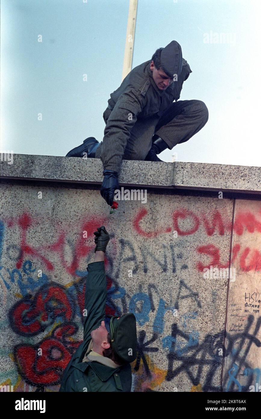 Berlin, Deutschland 19891112: Fall der Berliner Mauer: Die Mauer zwischen Ost- und Westdeutschland öffnet sich in Berlin. DDR-Soldaten an der Mauer auf Potsdamer Plats. Ein westdeutscher Polizist übergibt eine Rose an einen DDR-Grenzposten. Foto: Jørn H. Moen, NTB Stockfoto