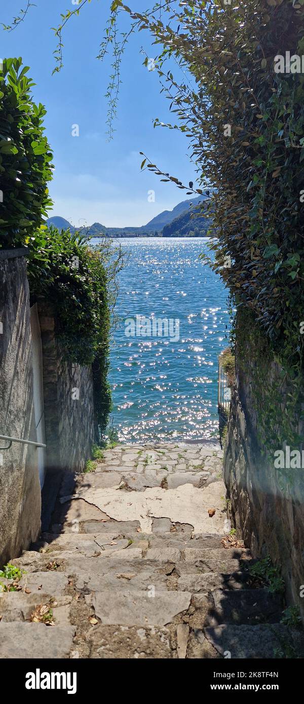 Eine vertikale Aufnahme der leeren Treppe, umgeben von grünen Pflanzen vor dem Hintergrund des Sees. Stockfoto
