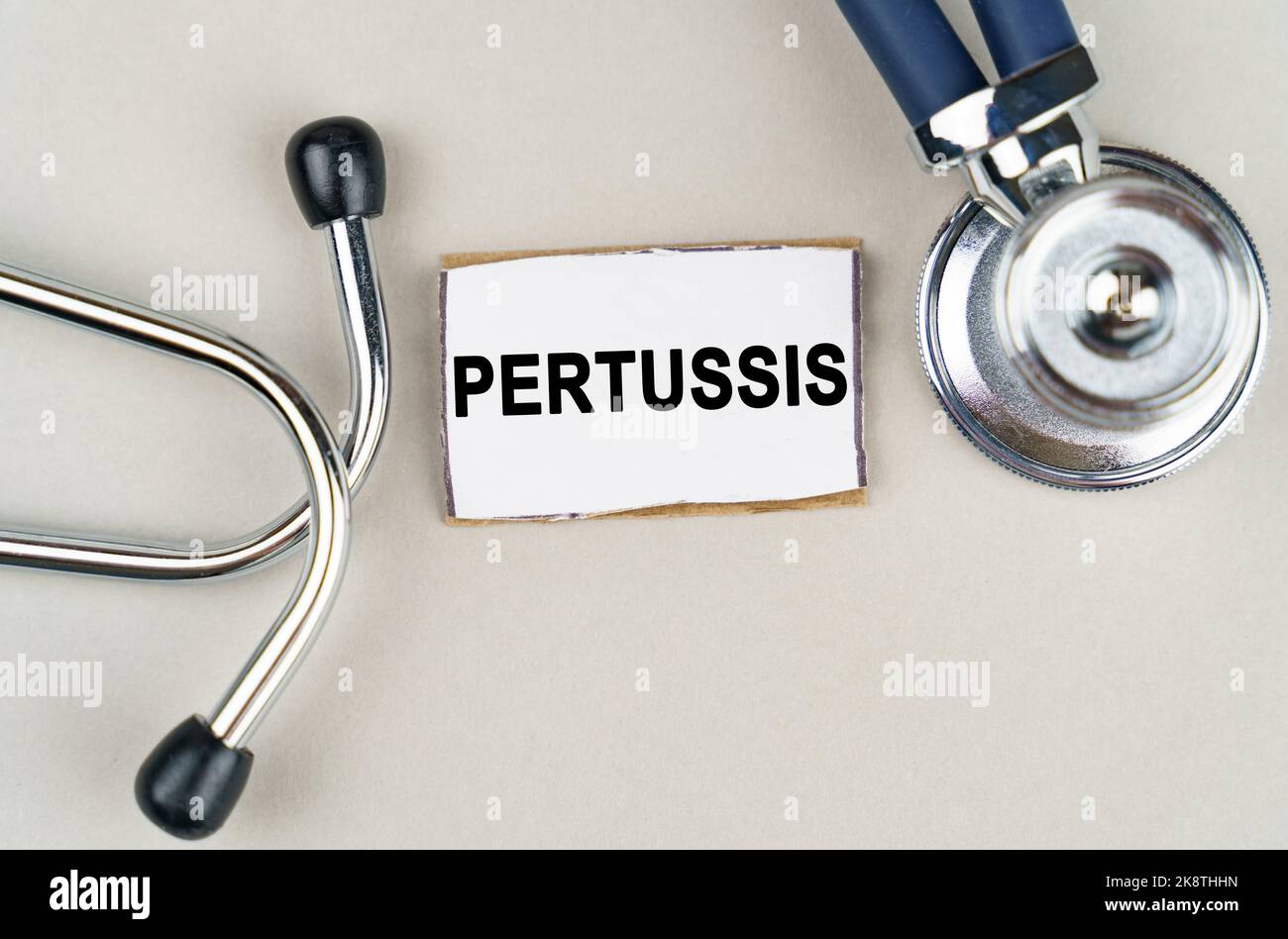Medizinisches Konzept. Auf grauem Hintergrund ein Stethoskop und ein Pappschild mit der Aufschrift - Pertussis Stockfoto