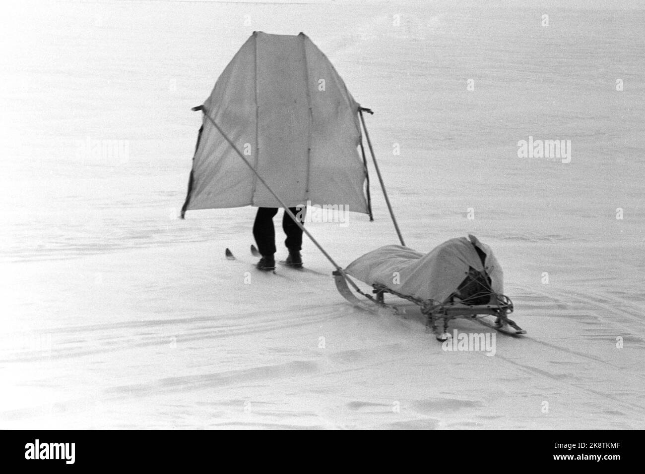 Finse 15. April 1961. Die dänische Prinzessin Margrethe ist mit dem Roten Kreuz-Hilfskorps im Winter in Norwegen unterwegs. Hier sehen sie einen Typen mit Pulk und Windschutzscheibe. Parasailing, Foto: Ivar Azerud / Strömung / NTB Stockfoto