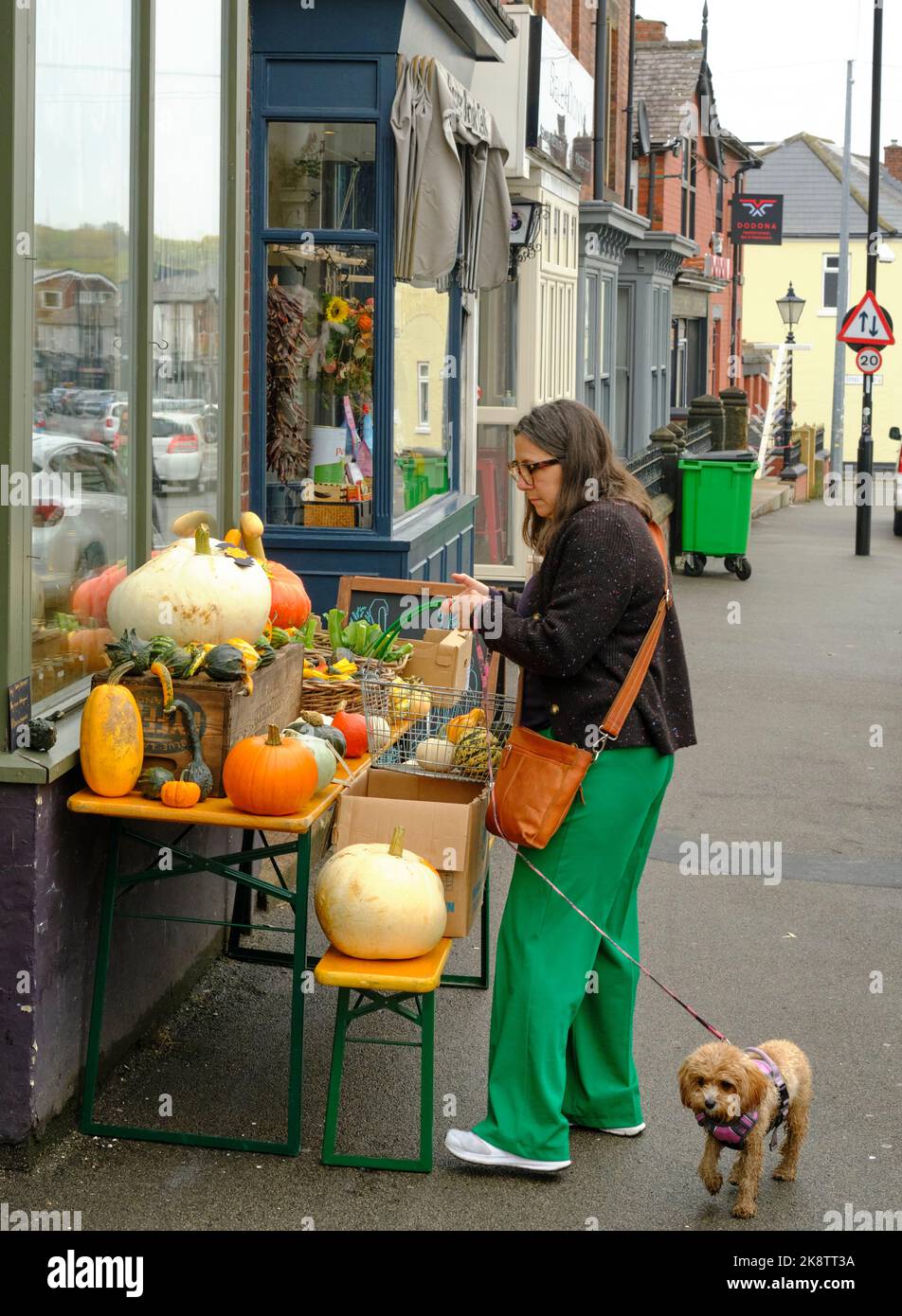 Eine farbenfrohe Straßenbelag mit bunten Herbstkürbissen vor einem Reformhaus in Sheffield. Stockfoto Eine farbenfrohe Straßenbelag mit bunten Herbstkürbissen vor einem Reformhaus in Sheffield. Stockfoto