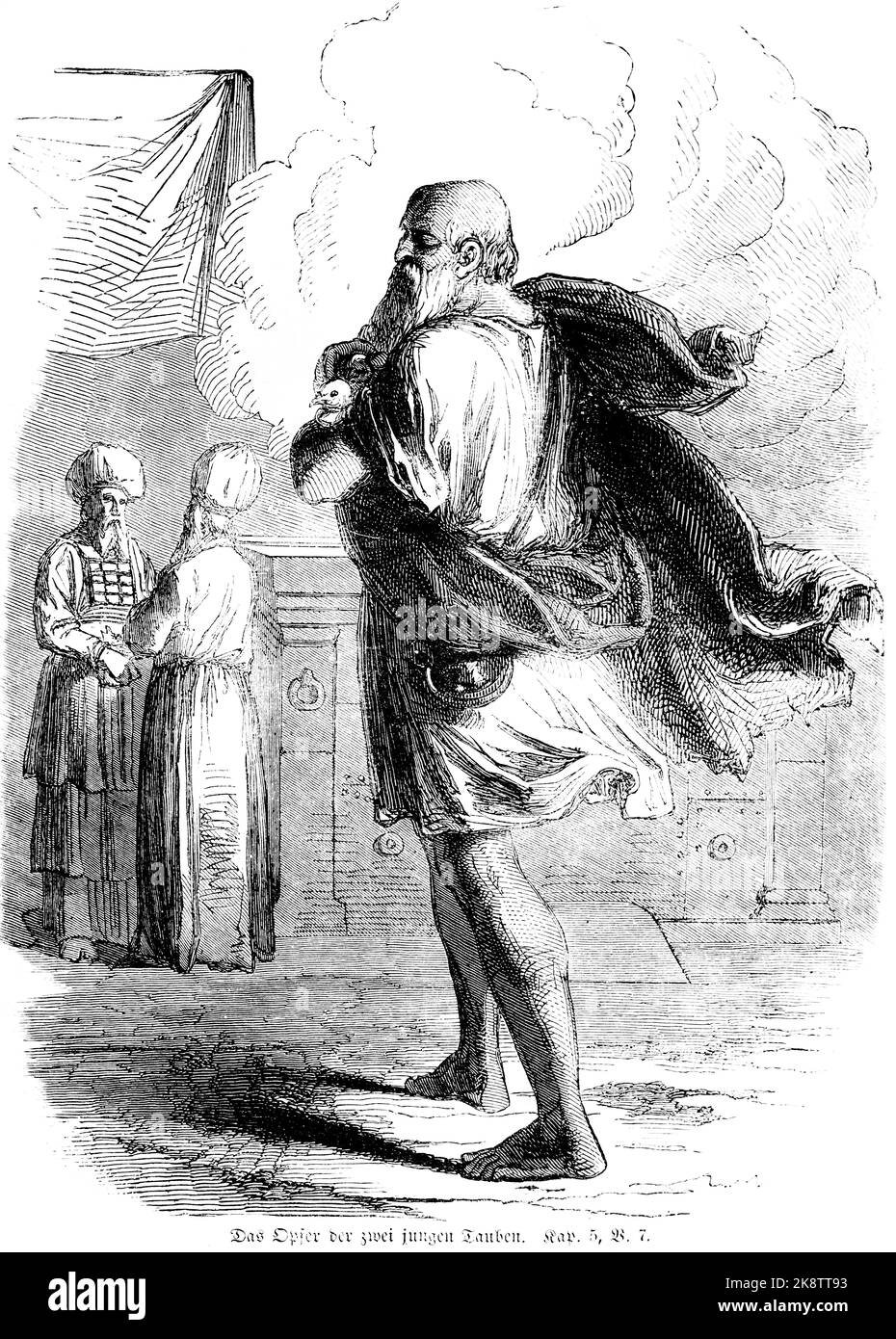 zwei Turteltauben und zwei junge Tauben, Drittes Buch Mose Kapitel 5, Vers 7, bibel, historische Illustration 1850, Stockfoto