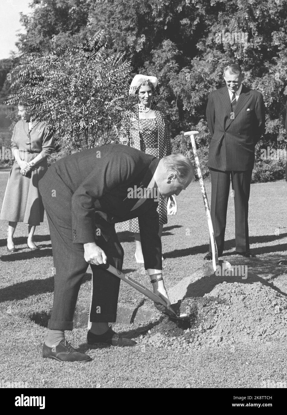 Kopenhagen, Dänemark 19580912.Kong Olav bei seinem ersten offiziellen Staatsbesuch als König zusammen mit Prinzessin Aestry in Dänemark 1958. König Olav raucht Zigarre, während er Eichen im Herrenhaus in Gisselfeld pflanzt. König Frederik hinter (t.h.) und Königin Ingrid. Foto: Jan Stadium NTB / NTB Stockfoto