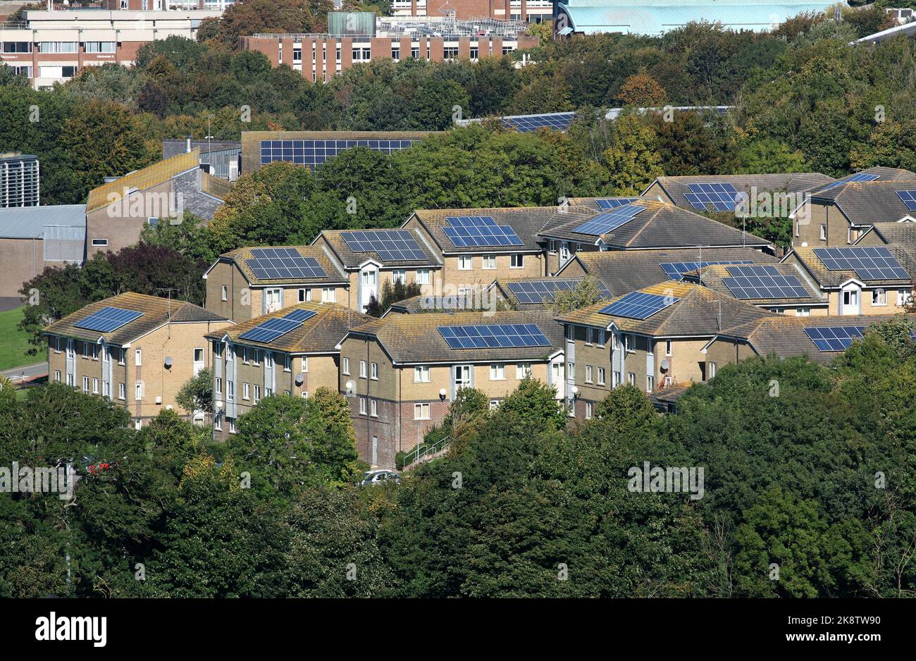 Photovoltaikzellen auf den Dächern von Studentenwohnhäusern auf dem Falmer Campus der Universität von Brighton. Stockfoto