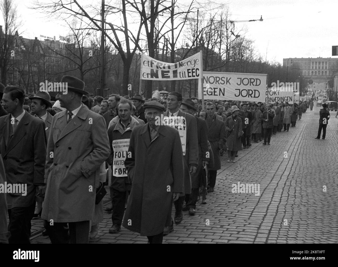 Die Oslo 19620420-Demonstration gegen den Gemeinsamen Markt während der parlamentarischen Debatte über Norwegen soll die Mitgliedschaft in der Europäischen Wirtschaftsgemeinschaft EWG beantragen. Der Demonstrationszug befindet sich auf dem Weg um das Storting am Karl Johans Tor. NTB Stock Photo per-Arne Knoblauch / NTB Stockfoto