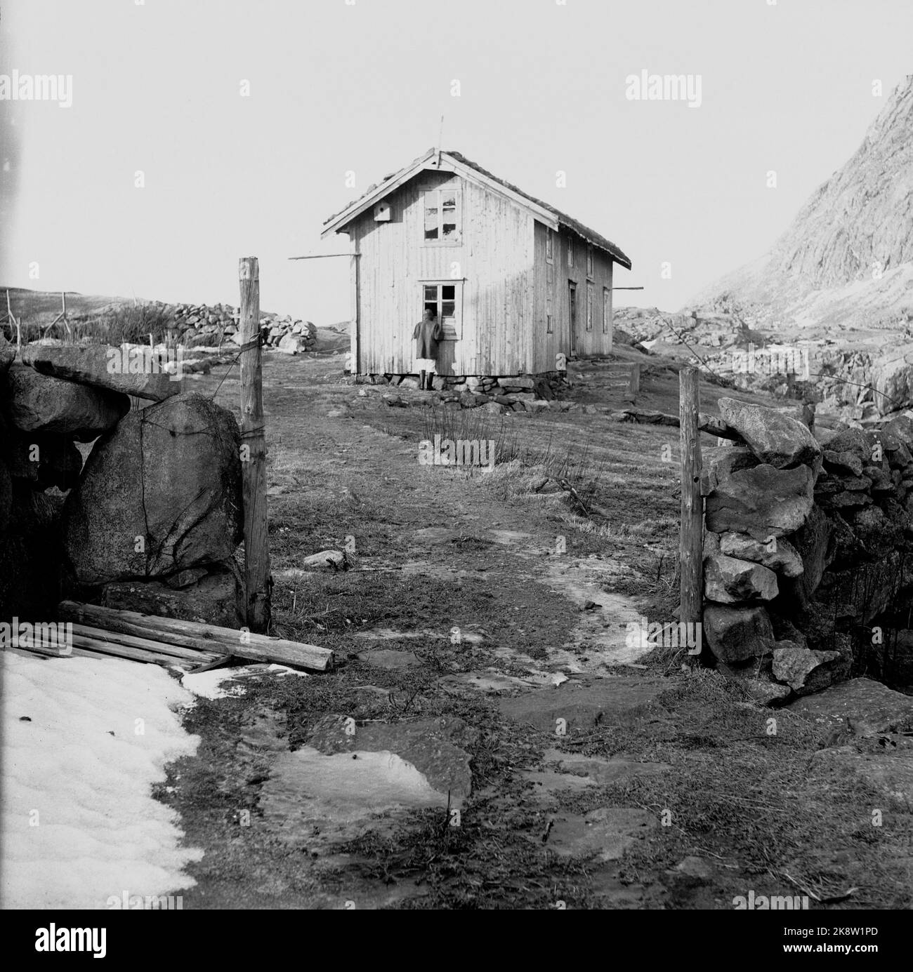 Lofoten, Juni 1951. Mehrere Fischerdörfer in Lofoten werden geräumt, weil sie ohne Strom, Straßen-, Kais- und Telefonanschluss nicht betrieben werden können. An einigen Orten haben die Gemeinden beantragt, Geld vom Staat zu bewegen, um die gesamte Bevölkerung einschließlich der Häuser zu bewegen. Hier ist ein leeres Haus auf Helle, das die Besitzer noch nicht umgezogen haben. Foto: Sverre A. Børretzen / Aktuell / NTB Stockfoto