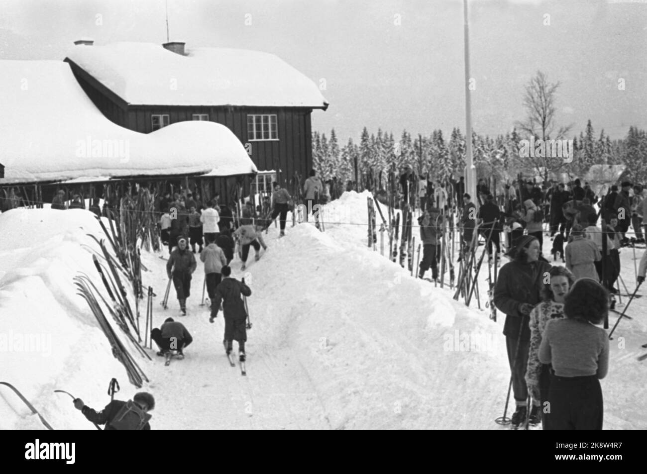 Oslo. Ullevålseter ein Ski-Sonntag im Jahr 1948. Die Oslo Championship, Skilanglauf. Große Mengen von Menschen, um den schönen Tag zu genießen. Foto: NTB Stockfoto