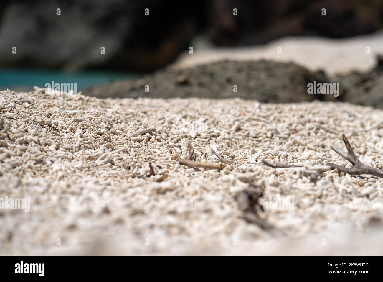 Abgestorbene Korallen, gebleichte Korallen aufgewaschen. Korallenstrand vom großen Bariierriff in queensland, australien Stockfoto