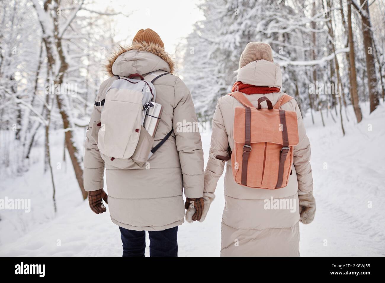 Rückansicht Porträt eines erwachsenen Paares mit Rucksäcken, das im Winterwald spazierengeht und die Hände hält Stockfoto Rückansicht Porträt eines erwachsenen Paares mit Rucksäcken, das im Winterwald spazierengeht und die Hände hält Stockfoto