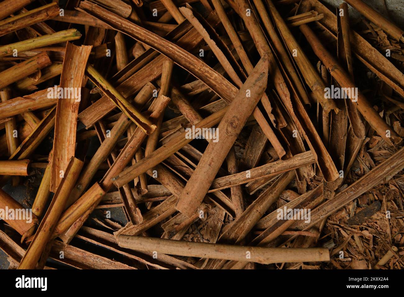 Overhead-Ansicht des Stapels von Ceylon Zimt Rinde, die frisch aus den Zimt Stiele entfernt, diese Rinde auf schattigen Bereich setzen, um trocken zu werden Stockfoto