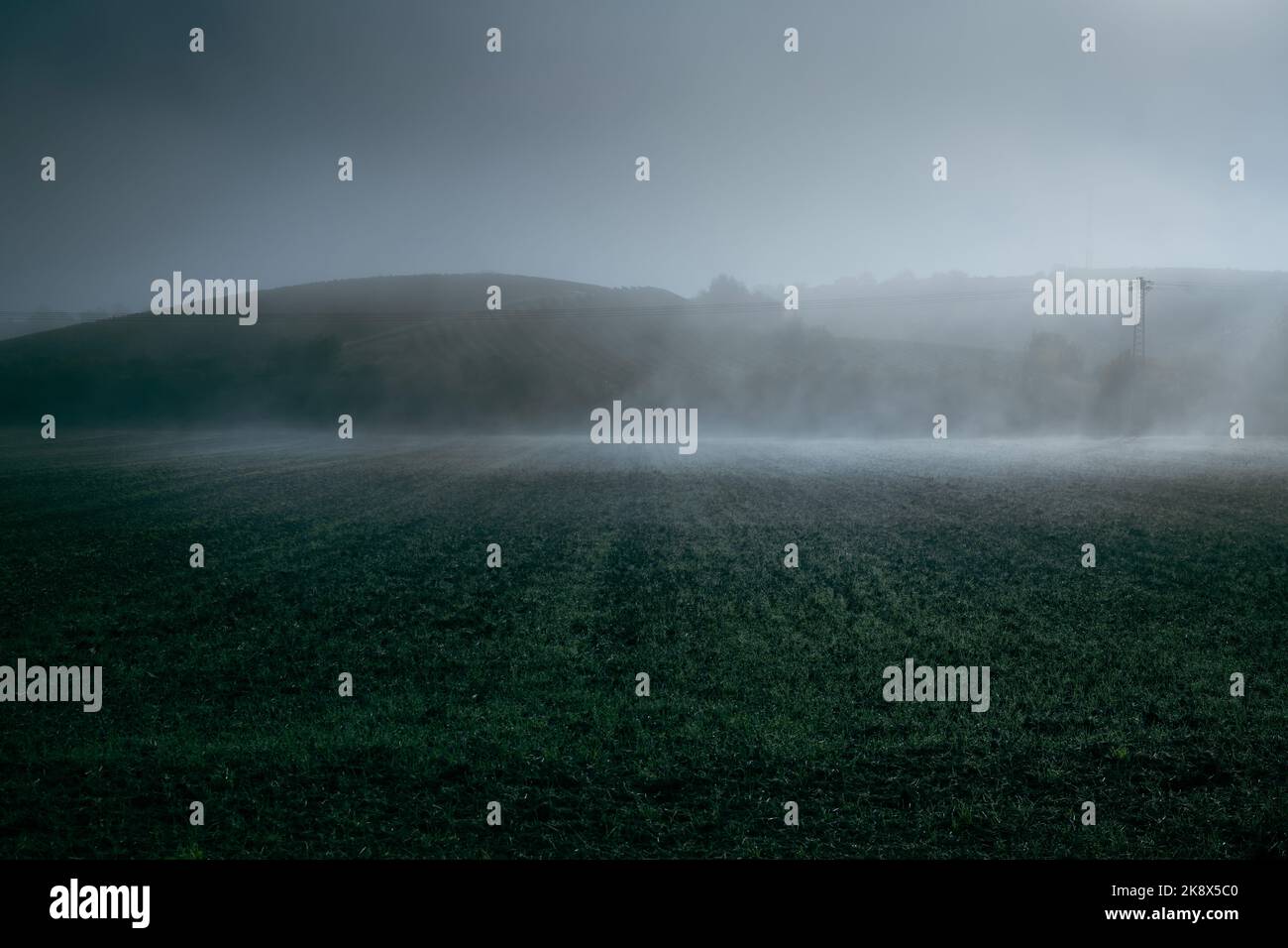 Nebelwolken driften nach einer kalten Nacht in dunkler Atmosphäre über ein Feld von frischem Grün vor flachen Hügeln. Stockfoto