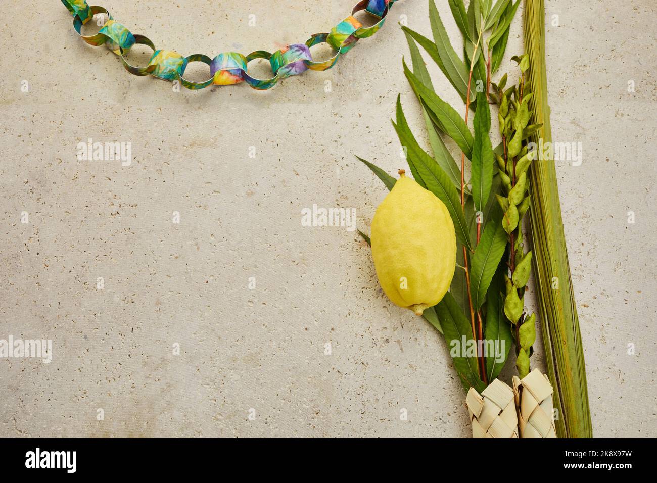 Jüdisches Fest von Sukkot. Traditionelle Symbole Etrog und Lulav - Zitrus und Palme. Stockfoto