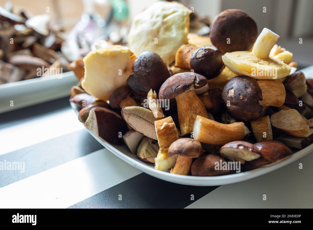 Teller voller gereinigter, geschnittener, farbiger Pilze. Lordenbolete, Lärchenbolete, rutschiger Jack, orangefarbener Birkenbolete. Stockfoto