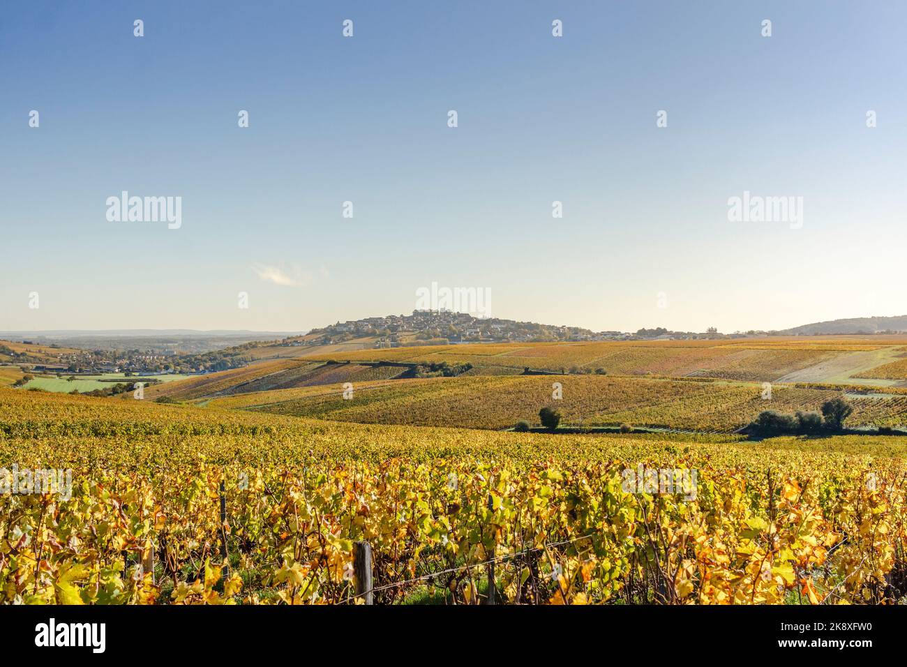 Frankreich, Cher, Sancerre, Dorf beschriftet Les Plus Beaux Villages de France, die schönsten Dörfer Frankreichs, Sancerre Weinberge im Herbst Stockfoto