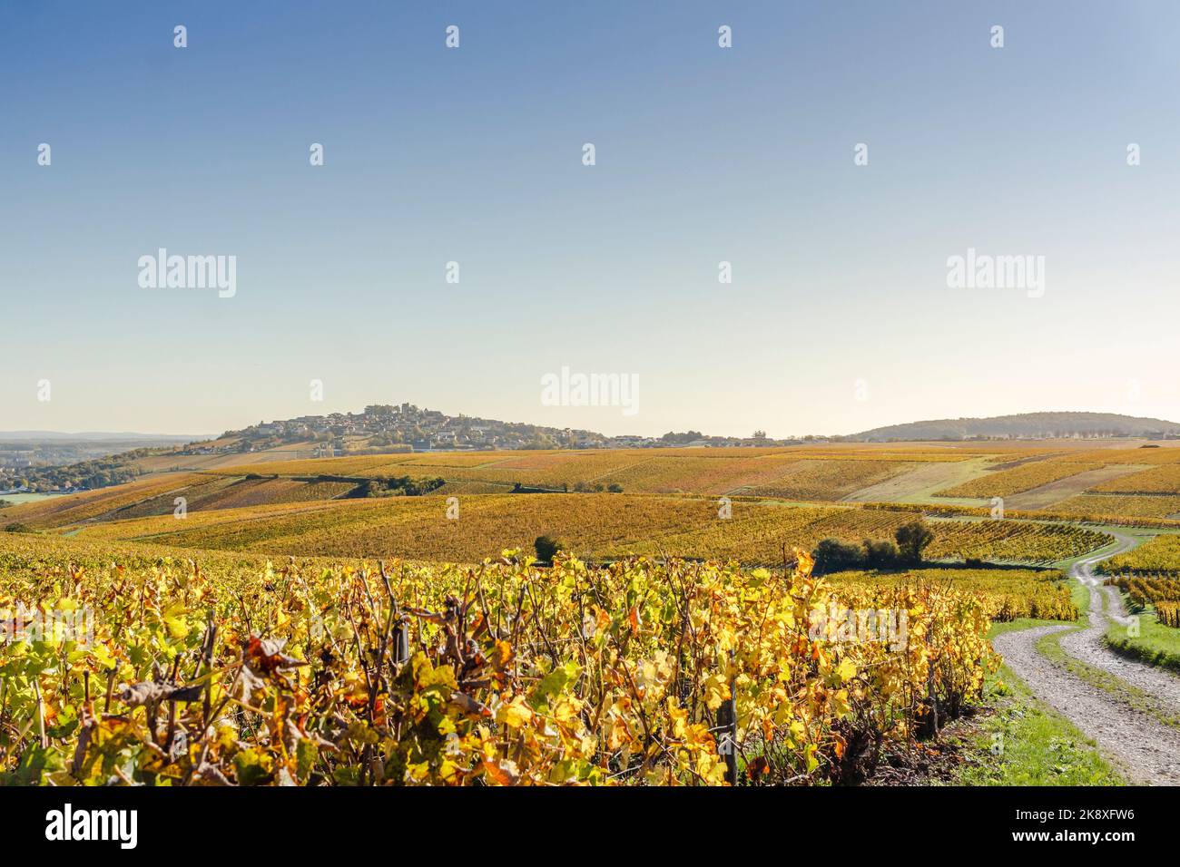 Frankreich, Cher, Sancerre, Dorf mit der Bezeichnung Les Plus Beaux Villages de France, die schönsten Dörfer Frankreichs, Weinberge im Herbst mit Pfad Stockfoto