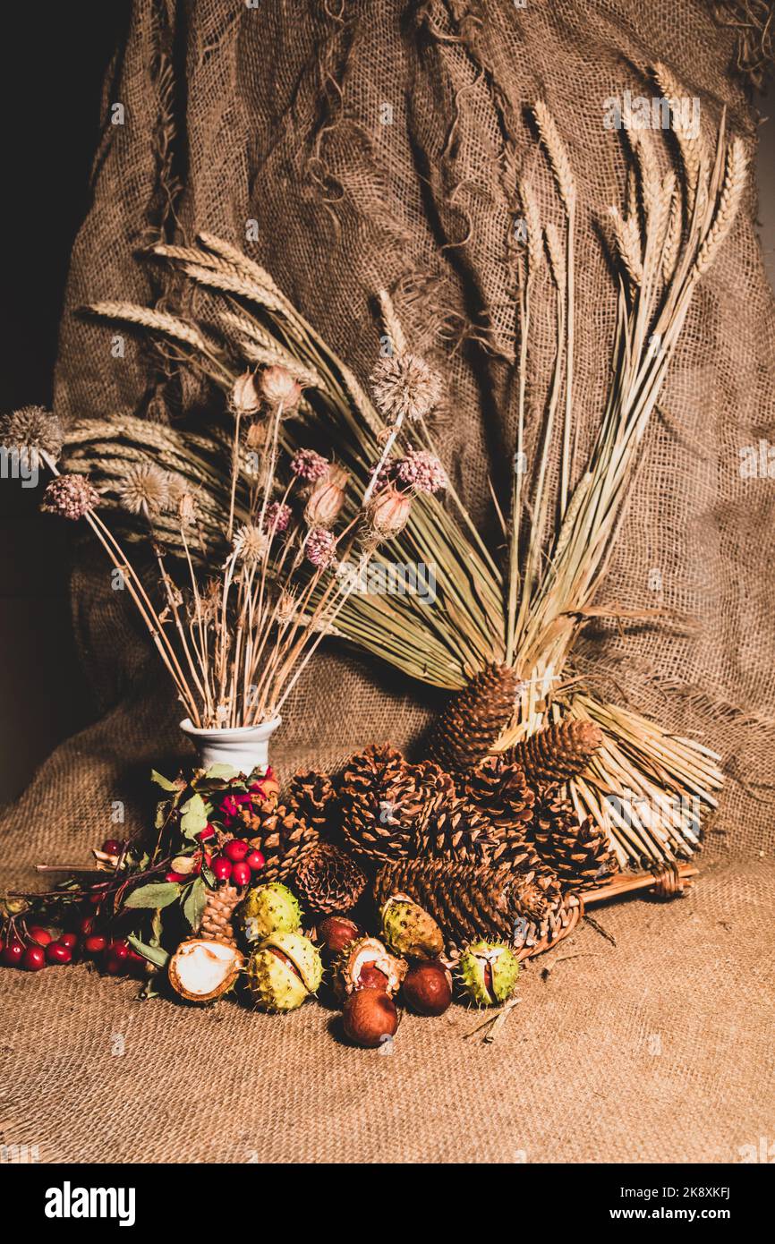 Herbst Erntefest Stillleben Szene. Stockfoto