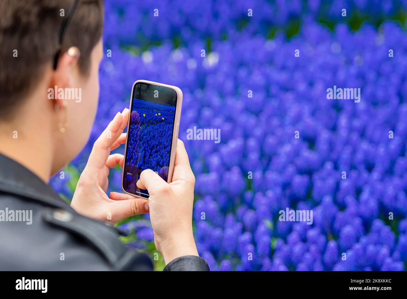 Smartphone, Handy in den Händen von abstrakten Mädchen Nahaufnahme. Aufnahme von Frühlingsblumen Foto und Video. Moderne Technologie, natürlicher Frühlingshintergrund Stockfoto