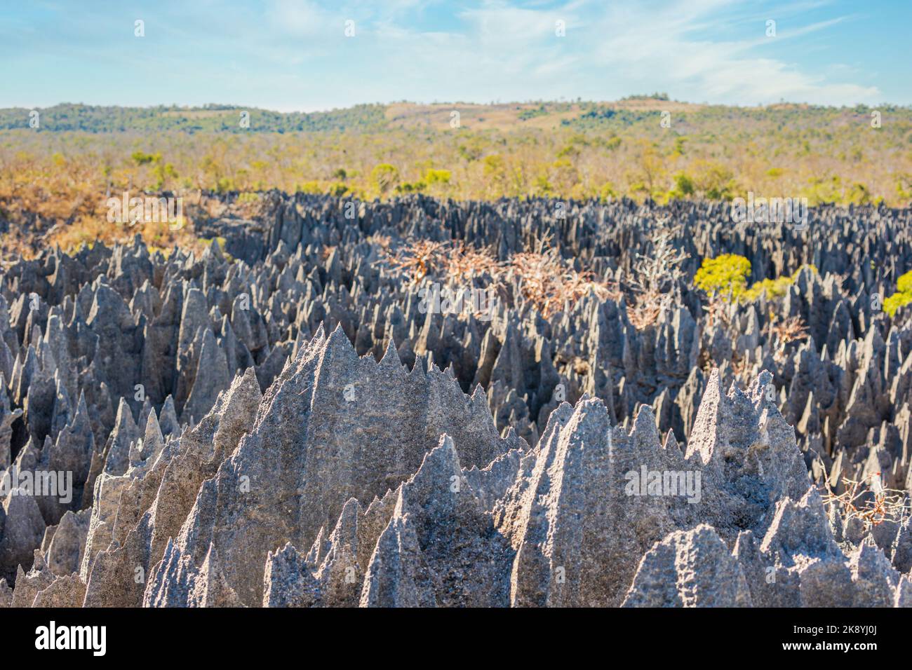 Das große Tsingy de Bemaraha von Madagaskar im Integralen Naturschutzgebiet Tsingy de Bemaraha der UNESCO Stockfoto